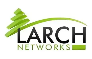 Логотип Larch Networks